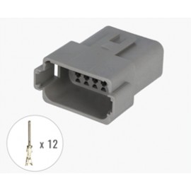 12S003E Soket Deutsch DT04 12sa male demonte 